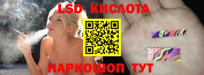 прущие крисы Будённовск