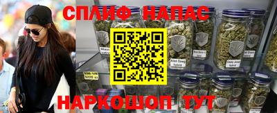 прущие крисы Будённовск