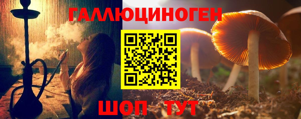 Кинешма  Псилоцибиновые грибы мухоморы  Вход с VPN 